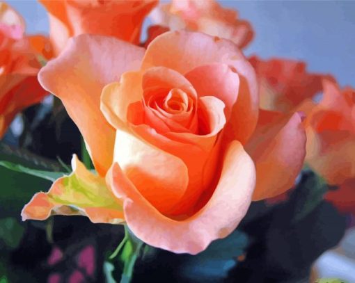 Beautiful Peach Roses Diamond Painting