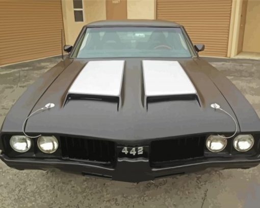 Black 1969 Oldsmobile Car Diamond Painting