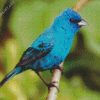 Blue Indigo Bunting Bird Diamond Painting