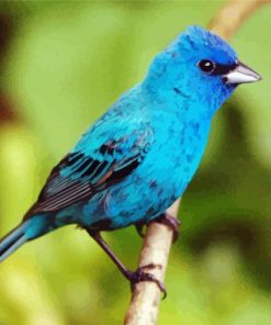 Blue Indigo Bunting Bird Diamond Painting