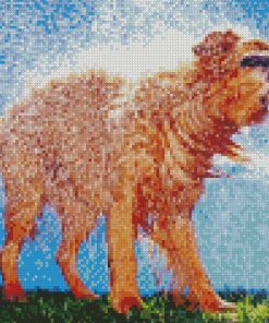 Brown Wet Dog Diamond Painting