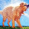 Brown Wet Dog Diamond Painting