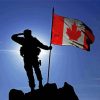 CDN Military Silhouette Diamond Painting