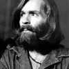 Charles Manson Diamond Painting