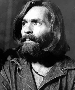 Charles Manson Diamond Painting