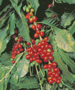 CoffeeCoffee Beans Tree Diamond Painting Beans Tree Diamond Painting