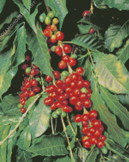 CoffeeCoffee Beans Tree Diamond Painting Beans Tree Diamond Painting