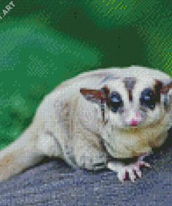 Cute Sugar Glider Diamond Painting