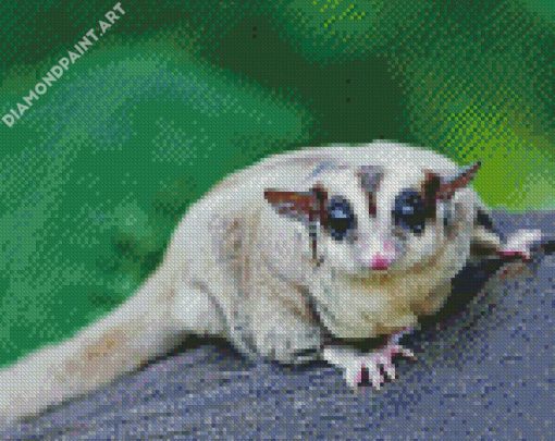 Cute Sugar Glider Diamond Painting