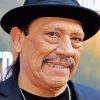 Danny Trejo Wearing Hat Diamond Painting