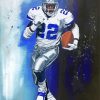 Emmitt Smith Art Diamond Painting