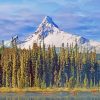 Forest Mount Washington Diamond Painting