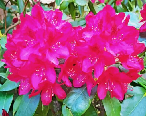 Fuchsia Rhododendron Diamond Painting