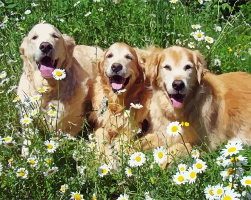 Golden Retriever Dogs With Daisies Diamond Painting