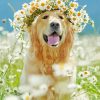 Golden Retriever In Daisies Field Diamond Painting