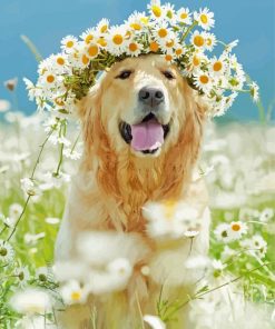 Golden Retriever In Daisies Field Diamond Painting