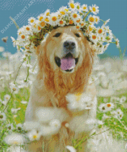 Golden Retriever In Daisies Field Diamond Painting