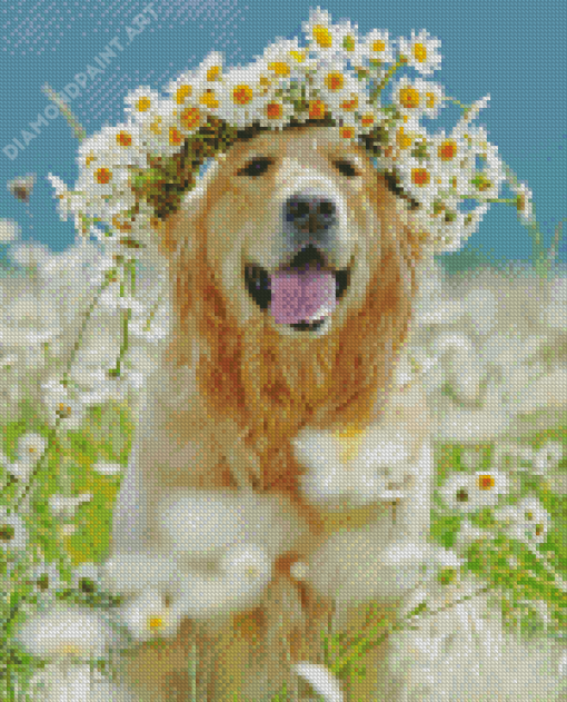 Golden Retriever In Daisies Field Diamond Painting