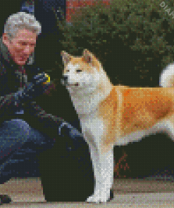 Hachi A Dog Tale Diamond Painting