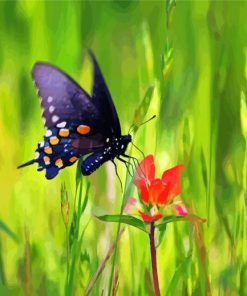 Indian Paintbrush And Butterfly Diamond Painting