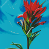 Indian Paintbrush Art Diamond Painting