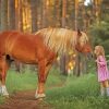 Little Girl With Horse In Forest Diamond Painting