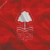 Nottingham Forest Football Club Flag Diamond Painting