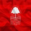 Nottingham Forest Football Club Flag Diamond Painting