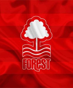 Nottingham Forest Football Club Flag Diamond Painting