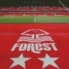 Nottingham Forest Football Club Stadium Diamond Painting