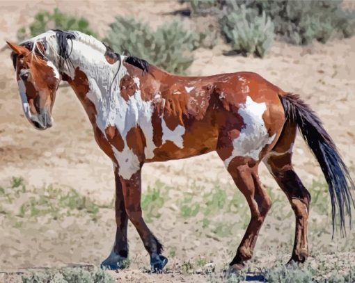 Piccaso The Wild Horse Diamond Painting