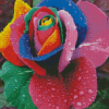 Rainbow Rose And Waterdrop Diamond Painting