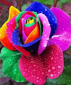 Rainbow Rose And Waterdrop Diamond Painting