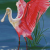 Roseau Spoonbill Art Diamond Painting