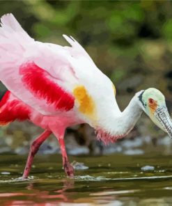 Roseau Spoonbill Diamond Painting