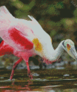 Roseau Spoonbill Diamond Painting