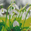 Snow Drops Diamond Painting