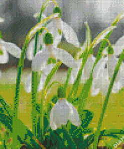 Snow Drops Diamond Painting