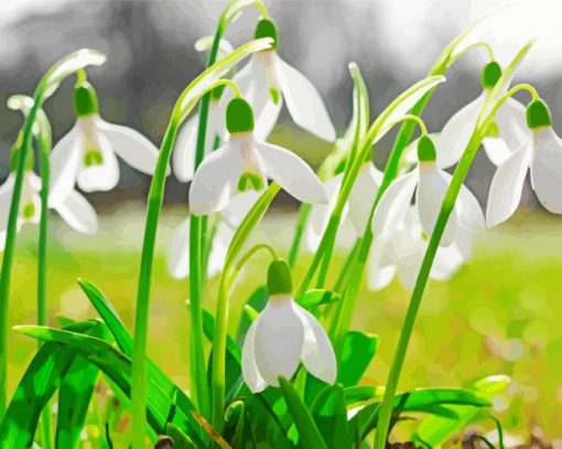 Snow Drops Diamond Painting