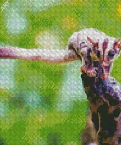 Sugar Glider Animal Diamond Painting