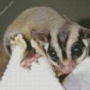 Sugar Glider Diamond Painting