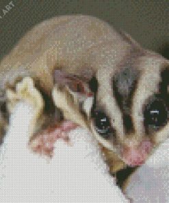 Sugar Glider Diamond Painting