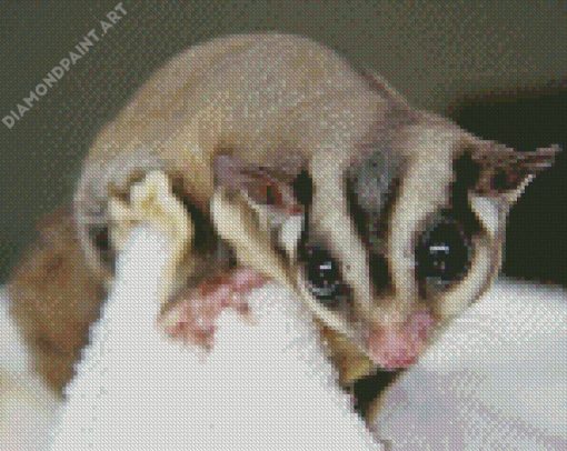 Sugar Glider Diamond Painting