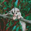 Sugar Glider On Branch Diamond Painting