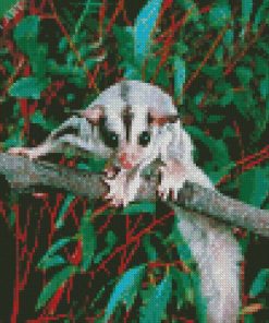 Sugar Glider On Branch Diamond Painting