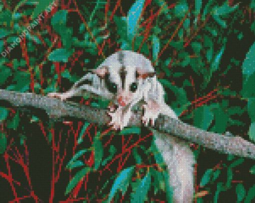 Sugar Glider On Branch Diamond Painting