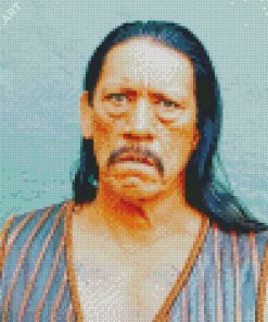 The American Actor Danny Trejo Diamond Painting