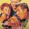 The Andy Griffith Show Poster Diamond Painting