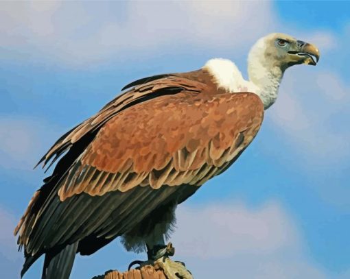 Vulture Diamond Painting