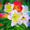 White Red Rhododendron Plants Diamond Painting